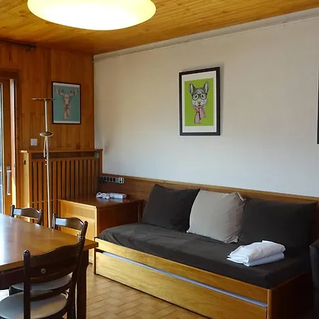 3 Pieces - Centre, 6 Pers, Wifi, Draps/serviettes Inclus, Garage, Balcon - Fr-1-802-19 * Les Gets